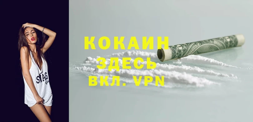 где купить   Приволжск  Cocaine VHQ 