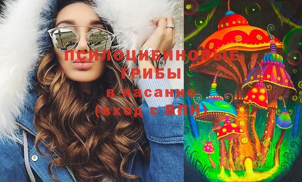 стафф Нефтекумск